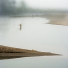On A Foggy Morning.